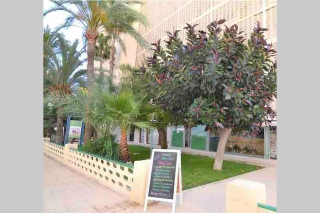 Apartment Apartamento Con Piscina Y Garaje, Playa A 10 Min *